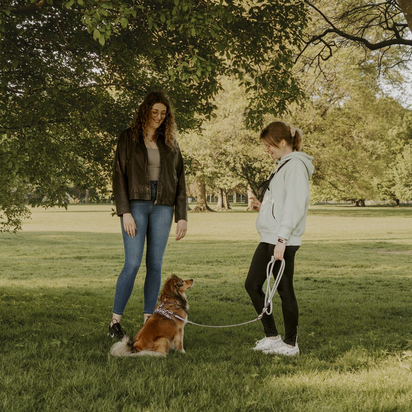 Einzelstunde Zwei Frauen stehen im Park, eine hält einen angeleinten Hund, während die andere zusieht.